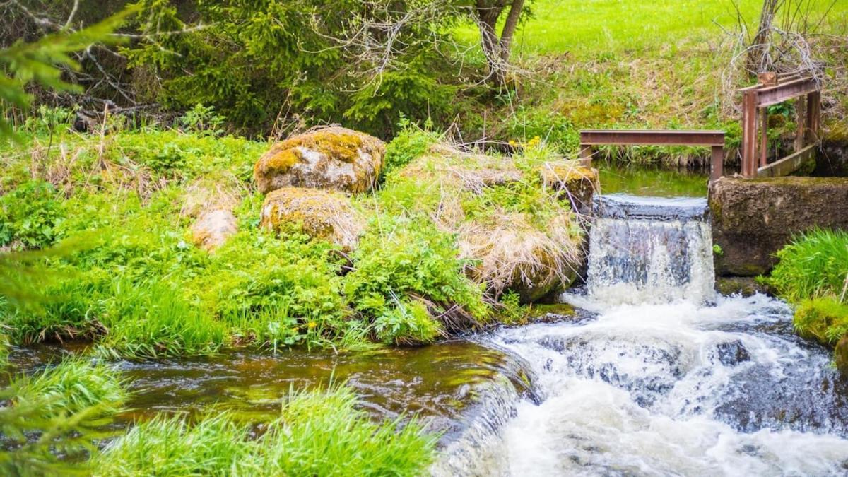 Schwarzwald Lodge Inselklause Schönwalde Exteriör bild